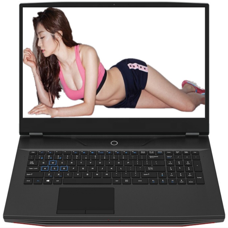 17.3 inch FHD IPS Gaming Lapto - Pc Gaming Intel Core I7 recension och pris